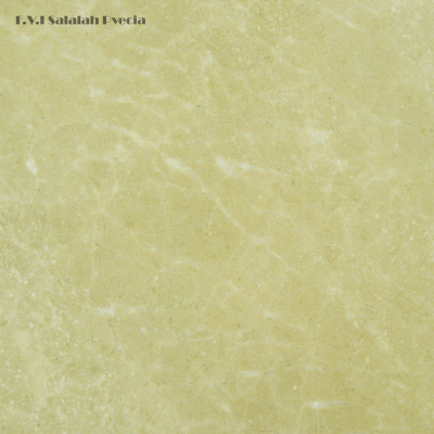 FVI Salalah Pvecia (small)